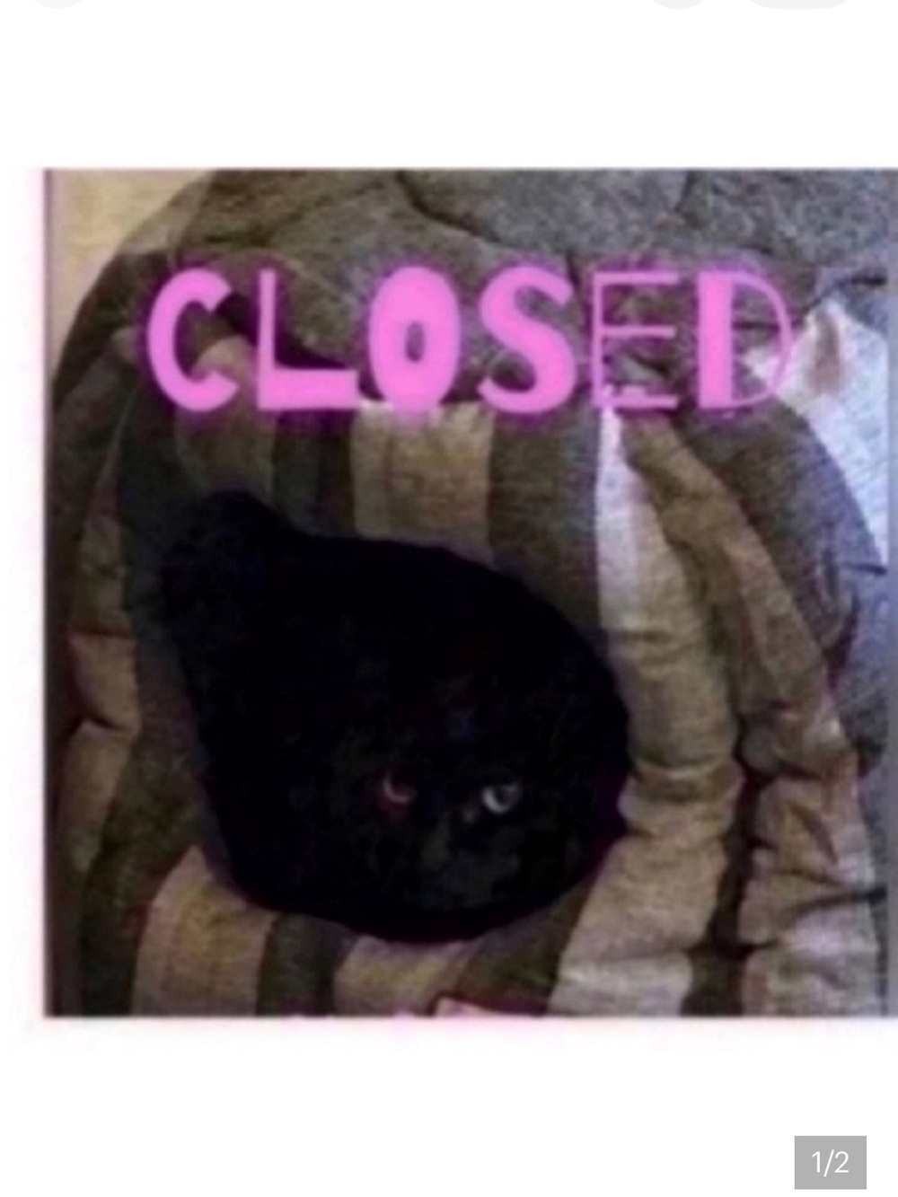 CLOSED🐈‍⬛Pillows pick 5